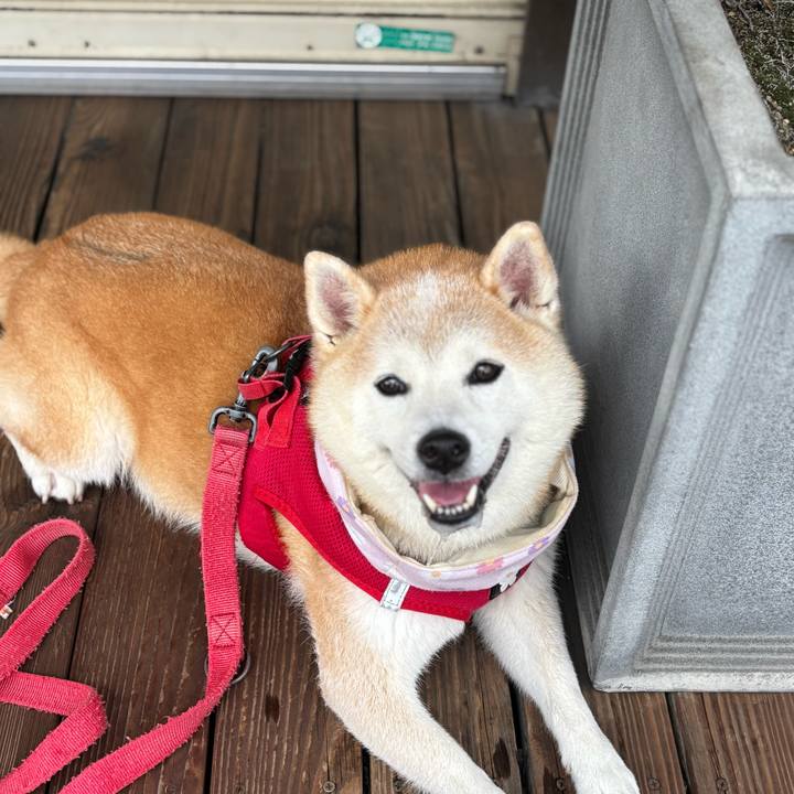 478a95ed 49ce 4ee5 99e3 ac4f1e36a314 1754859754724