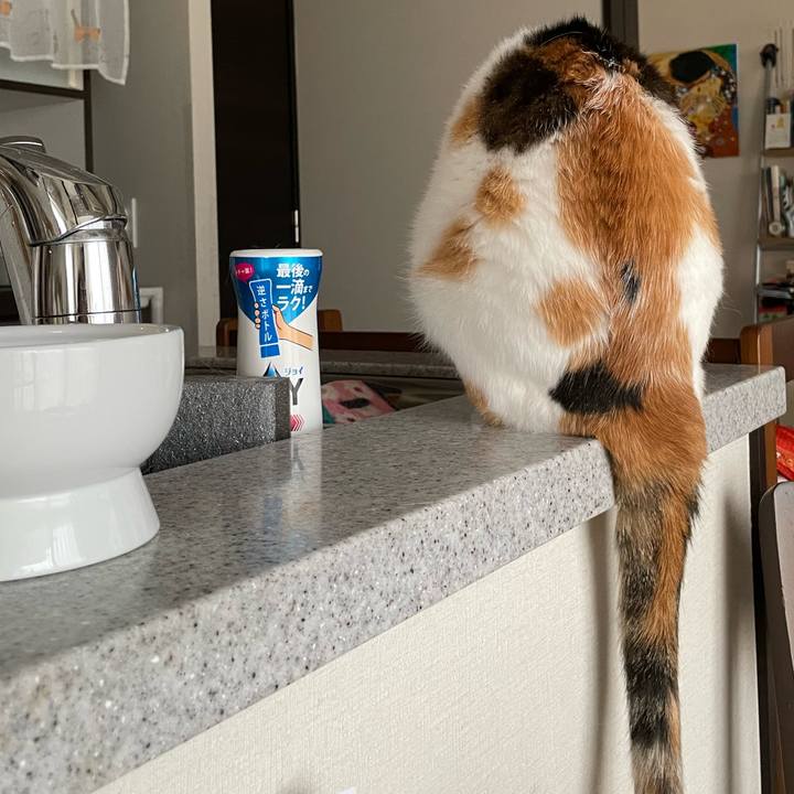 478b07f8 068d 41f8 8c53 077237f50ec4 1719358674044