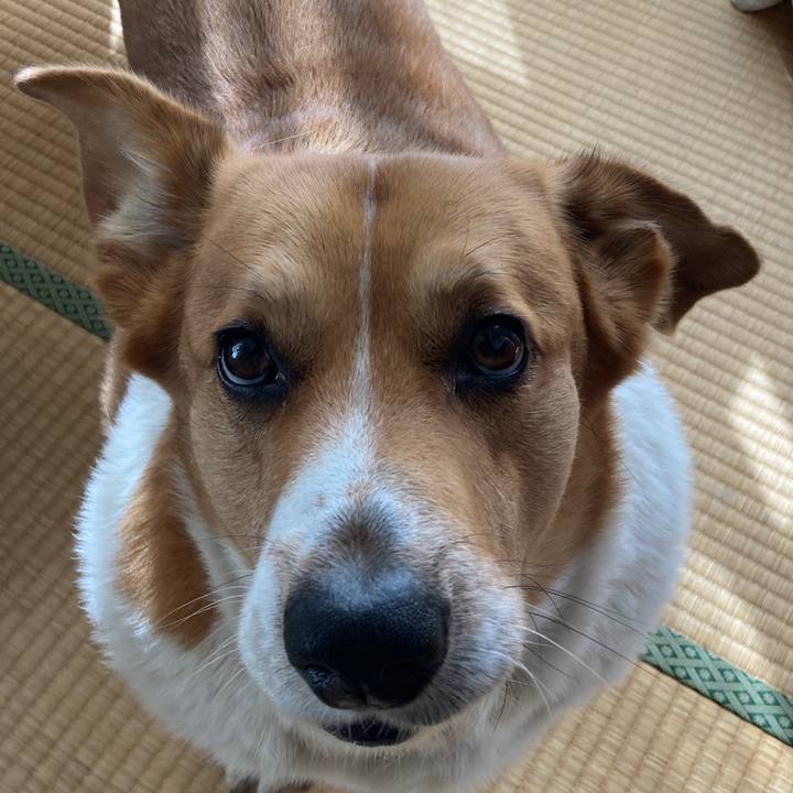 478b1201 d16e 47ad a8f7 bdc9dd25ff1a 1741918764863