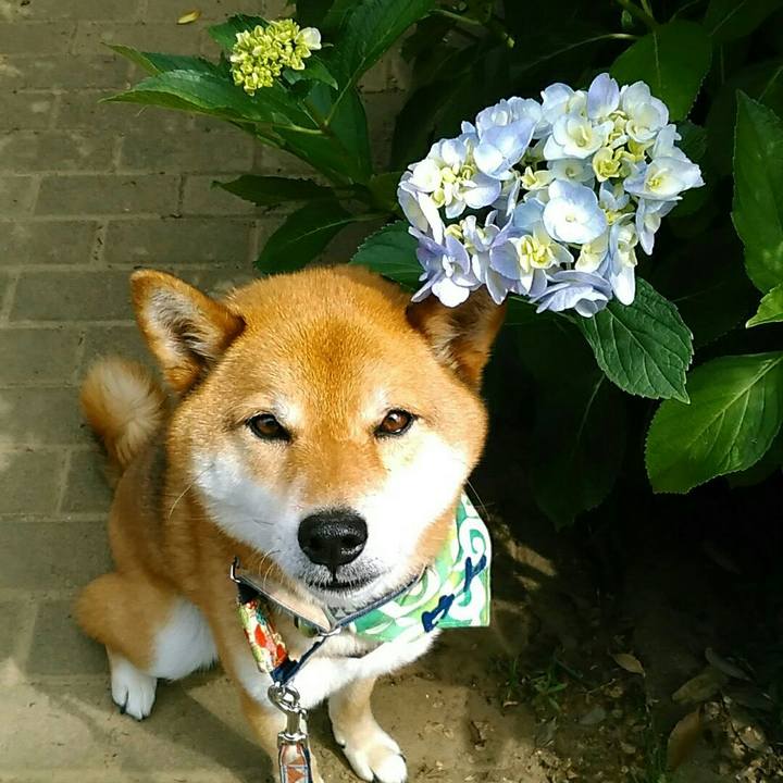 478b3ac1 8a4b 449c a1fa f393f8838042 1560735427919