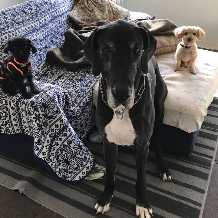 478b3dba d717 40cb b0ad 325385622f6f 1523832153325