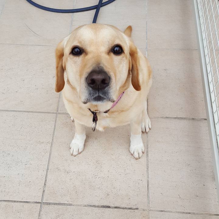 478b60d4 eb42 4469 9ffb ea108e3e74d9 1517451207150