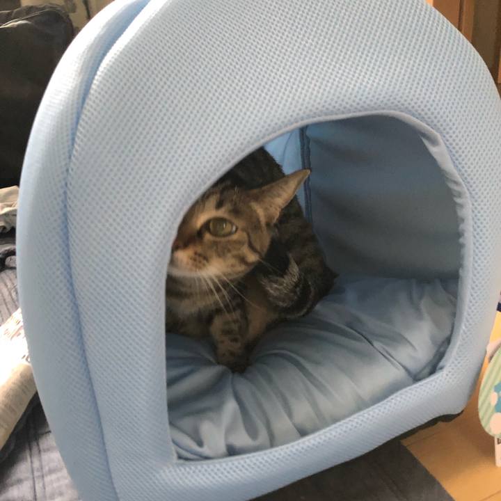 478b717b 0a19 43ee b8ac 1d924c3113ea 1655498083033