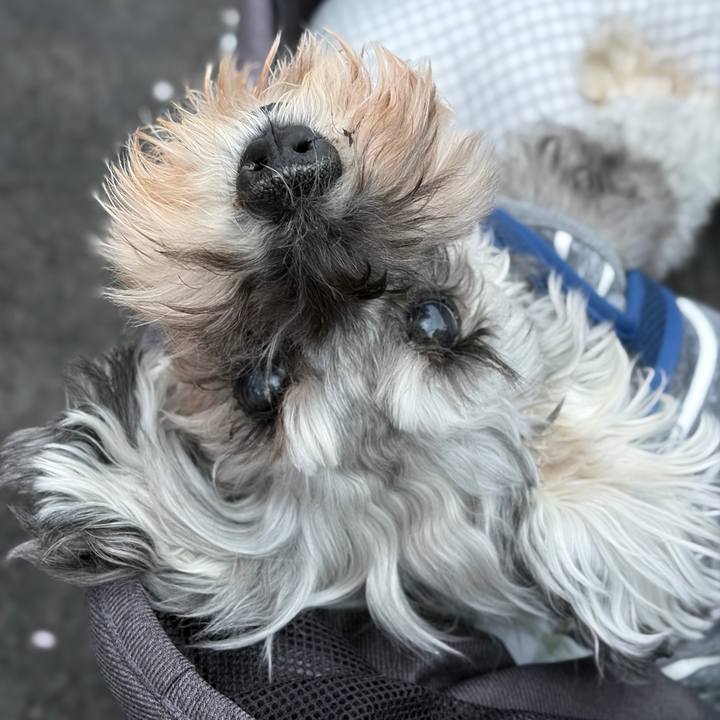 478bc2fc 99f6 4357 a2a1 20ff6626896a 1774611149078