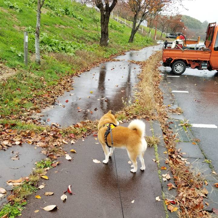 478c07a1 19fd 4fab a495 6c410879d747 1604038885386