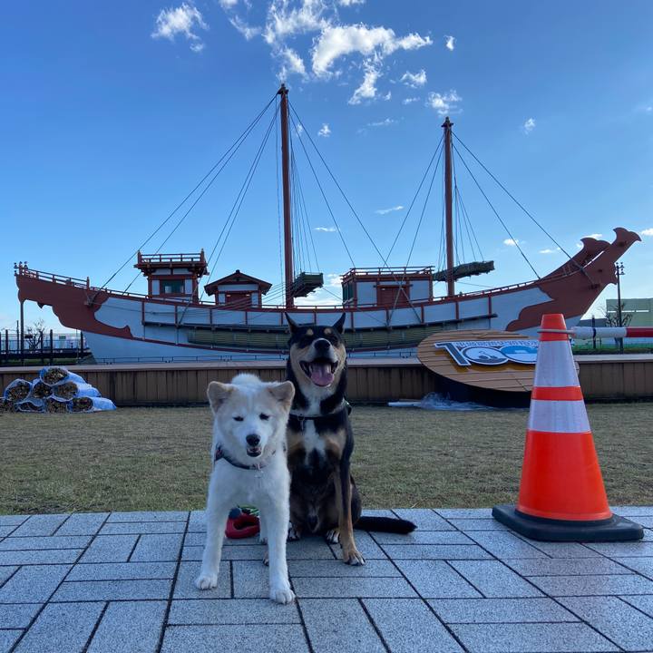 478c08e0 73f0 4464 b7b9 c90eb4451d50 1666167566037