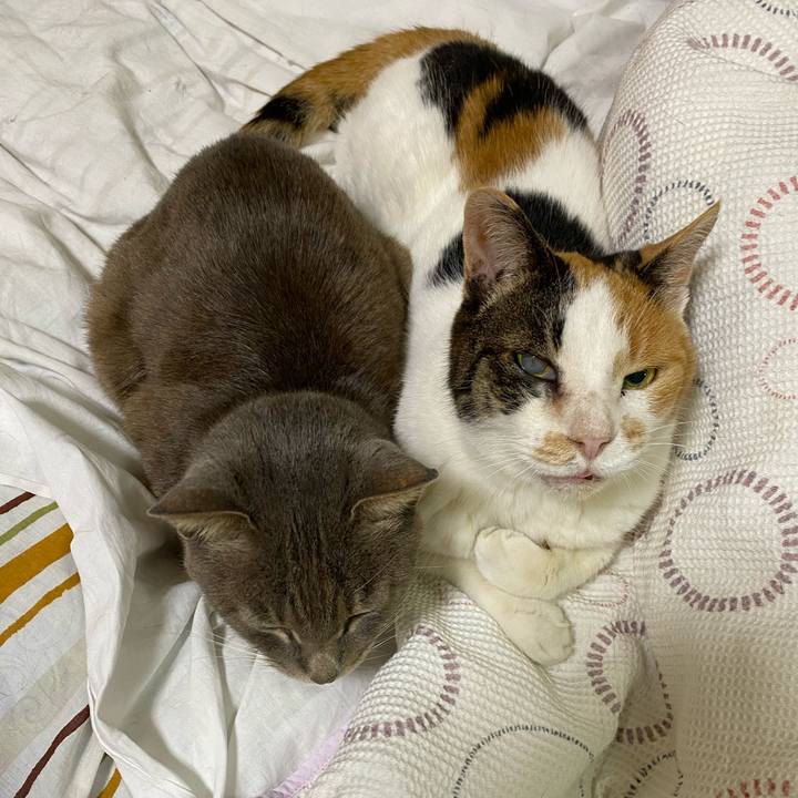 478c2173 b952 48f1 8499 6f278e779ffa 1622640490957