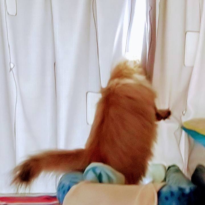 478c3277 85de 466c a389 8d343fa3053d 1603543851369