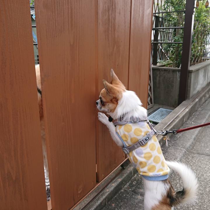 478c4d64 d5da 49d6 b368 ec4989ac99de 1557906826114