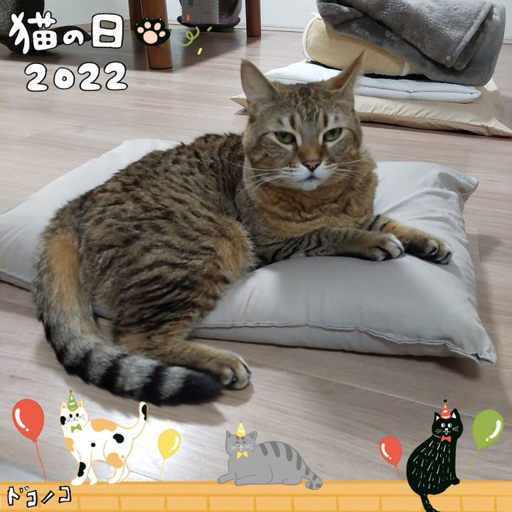 478c5c95 af94 46d0 b1fe 2c3b86db2d56 1645536808262