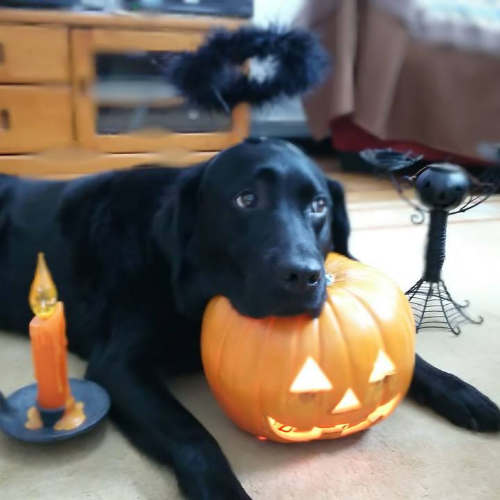 478c69a8 4c2d 4270 89b6 4dcce6234be8 1691810247354