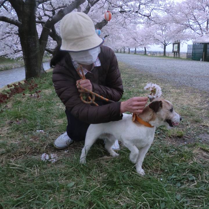 478c702d 148b 4b34 a587 8b2d8a1d9c45 1522831862825