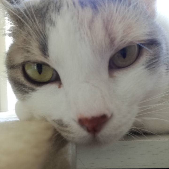 478c9e58 24e4 4e95 89f4 8ba5e0ed2d9b 1527811749618