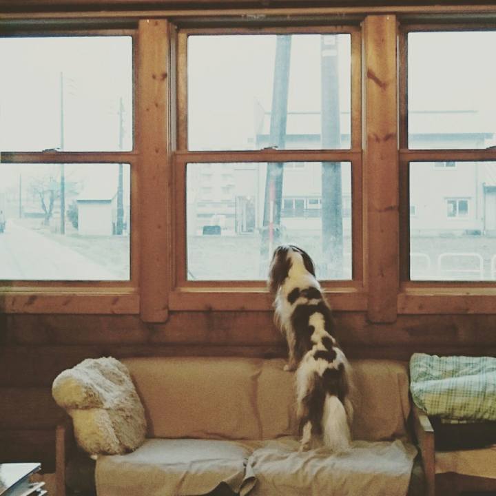 478ca0c2 456f 429c 8701 93570588ee72 1511937006153