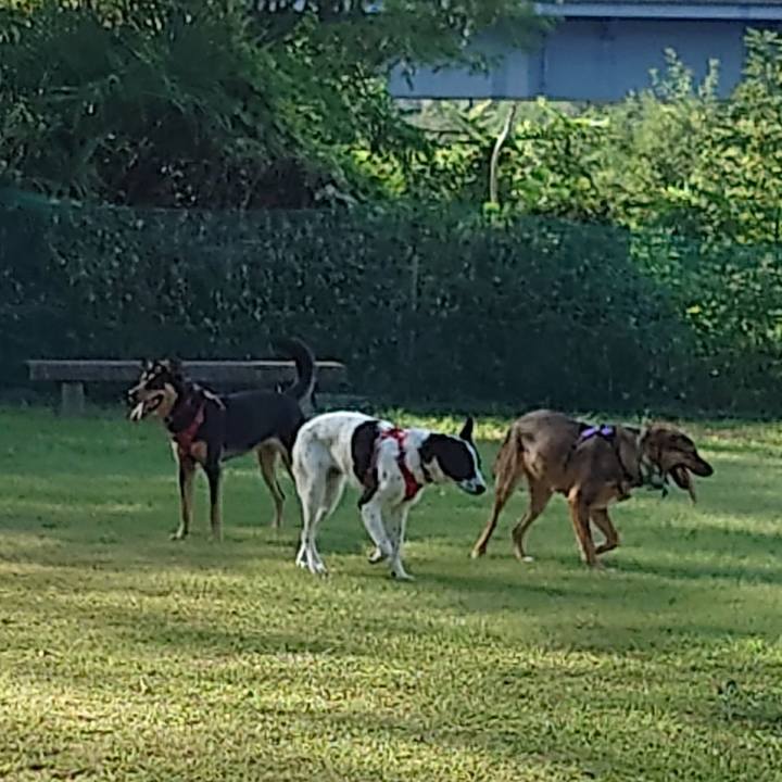 478cd7b7 9ed4 45aa bdd2 1504cdca72d5 1693615266255