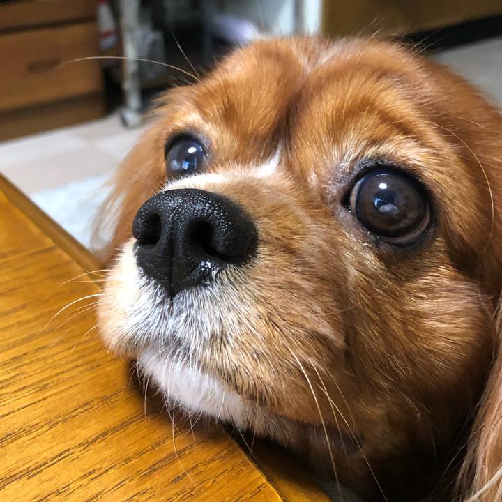 478ce5b8 54f2 419d 8811 3828b7f2fcba 1605046618150