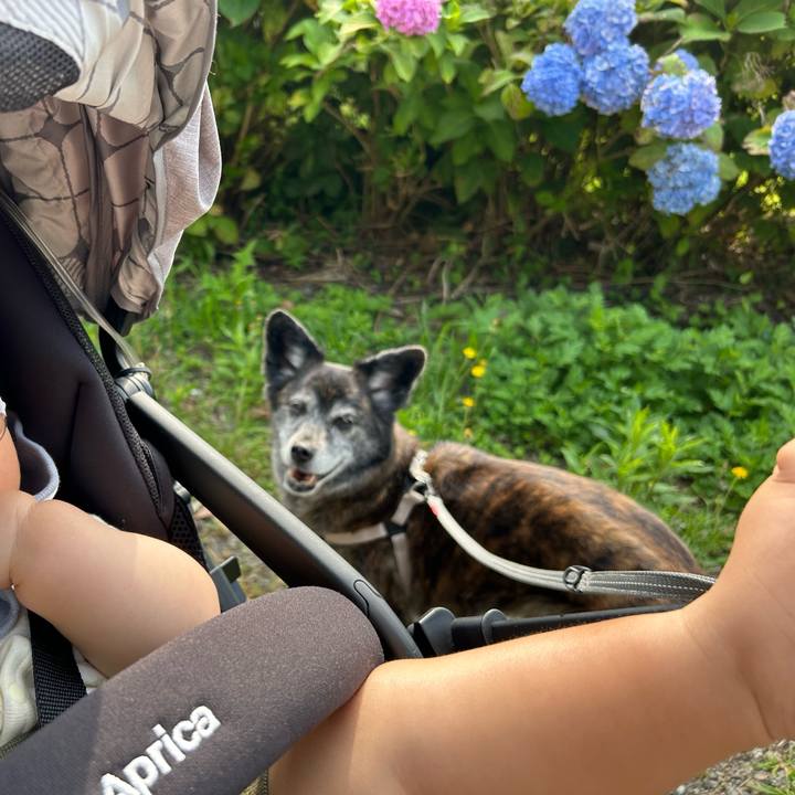 478d2728 6d07 424d a342 d4c3f3cc8f20 1719181447919