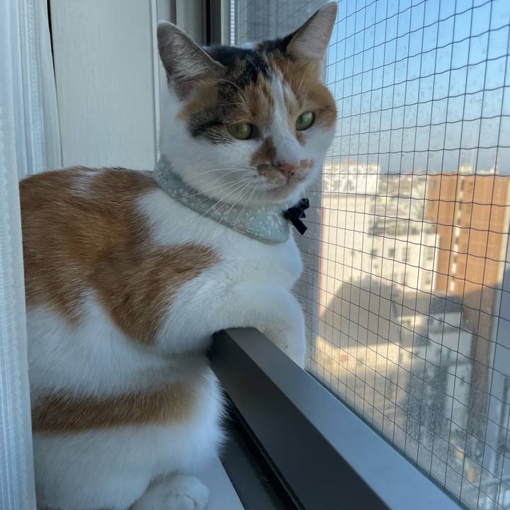 478d2e27 09d9 4e4c a264 d471bdc0501d 1668036849497