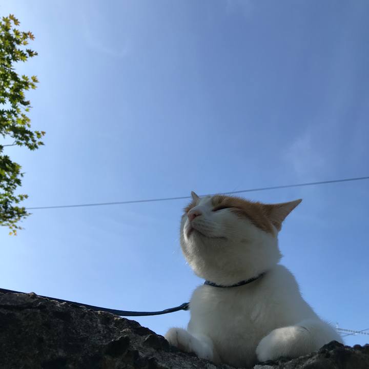 478d3388 21df 4500 849e 997ff43fcafa 1530487354844