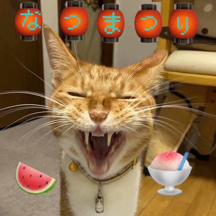 478d7f74 20d7 4d07 9c7d 8ba1482822a3 1693041549760