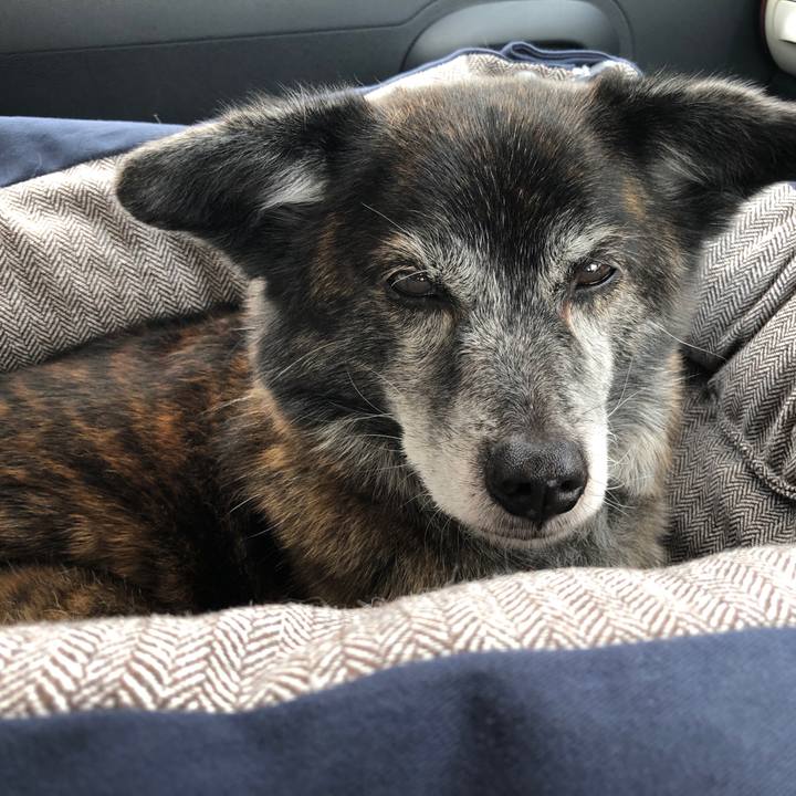 478d8b9f b555 4ba6 9e5c ad3f7df9a093 1711832354571