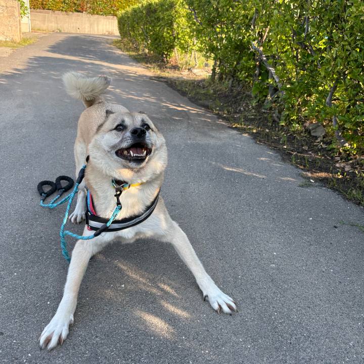 478d9f0d 08c8 41bc 8e2f 3465a5bf6744 1748692754869