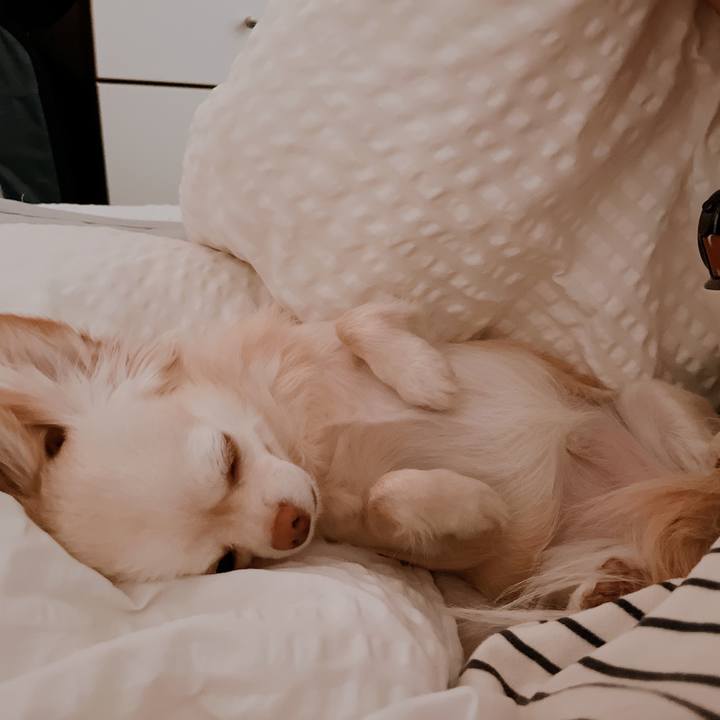 478dd9d3 95a6 4dbe 9faa 50b30a37a662 1675807066805