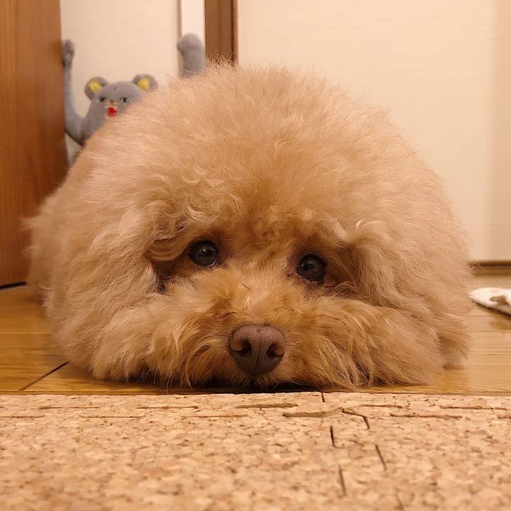 478de91e 8b71 4618 aa93 196029a4c66b 1565264269640