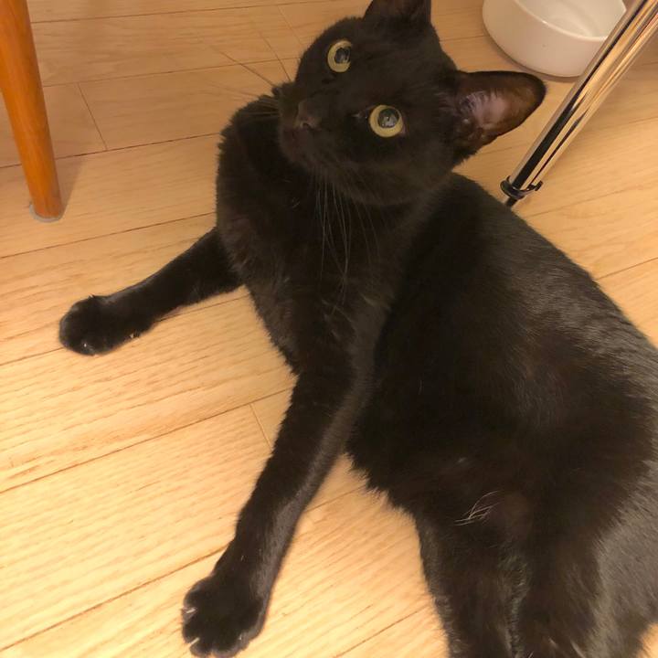 478debc5 9fa0 4d04 a897 56af1fc6ec8c 1579700317888