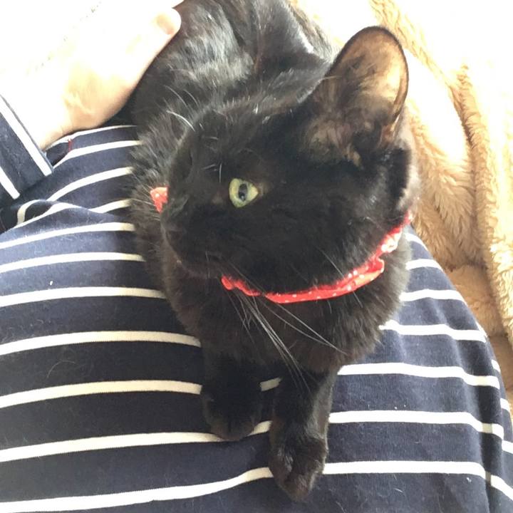 478e0ace 6a22 4e7b 9dda 6462913ef245 1552779559227