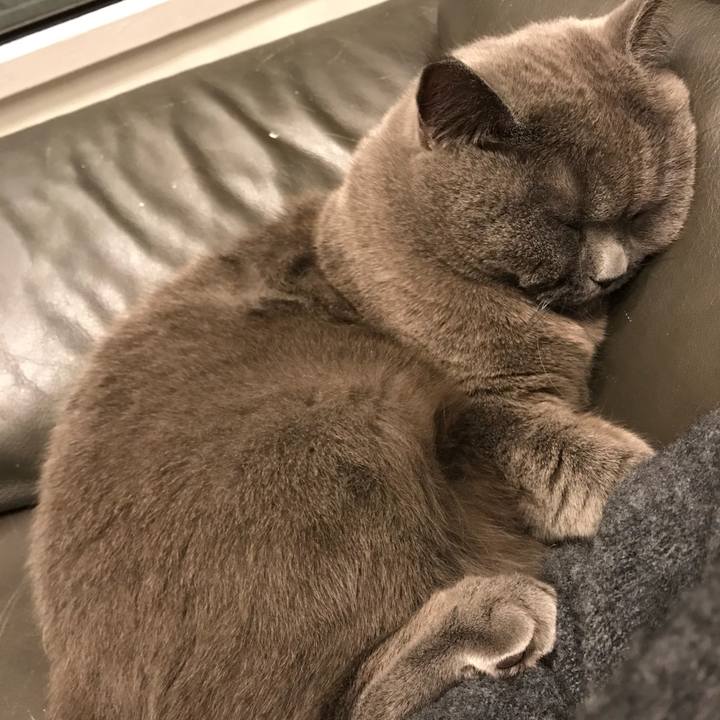 478e118b edd3 4dda b129 72435240e713 1511707680836