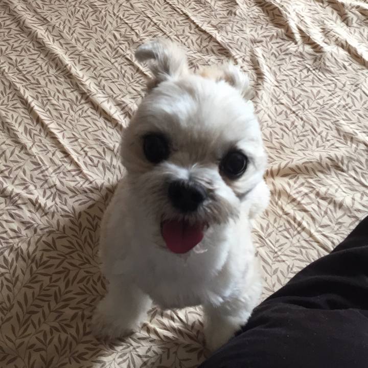 478e4e18 b8a9 4192 b0cd 5ca70c83e95e 1542335148889