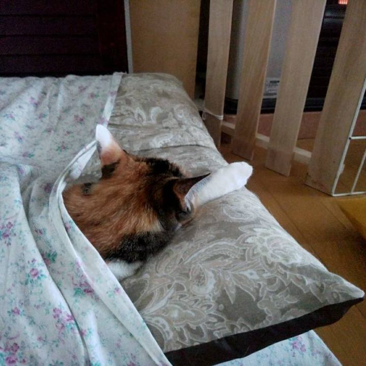 478edd60 b2ab 4966 800b 5e07ce78d082 1608900406036