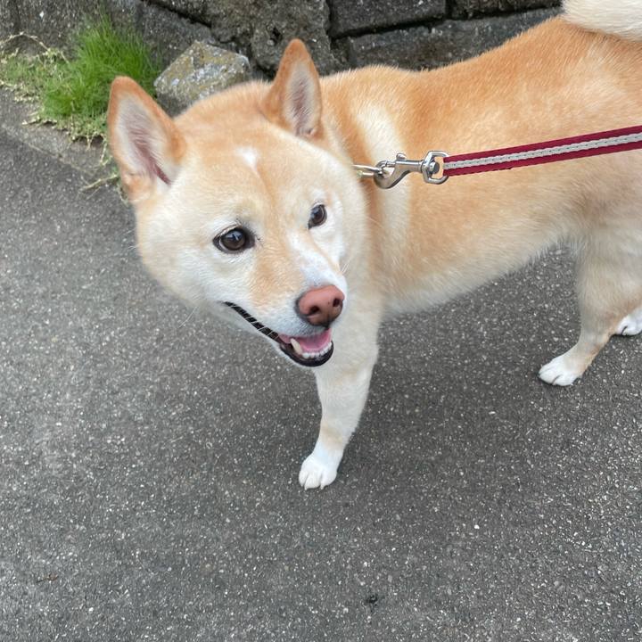 478ef0f8 4ce3 45a0 8781 6daf04205f5f 1659736130849