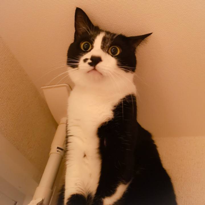 478f33bd 649d 4adb a462 c0540317b76b 1547824272227