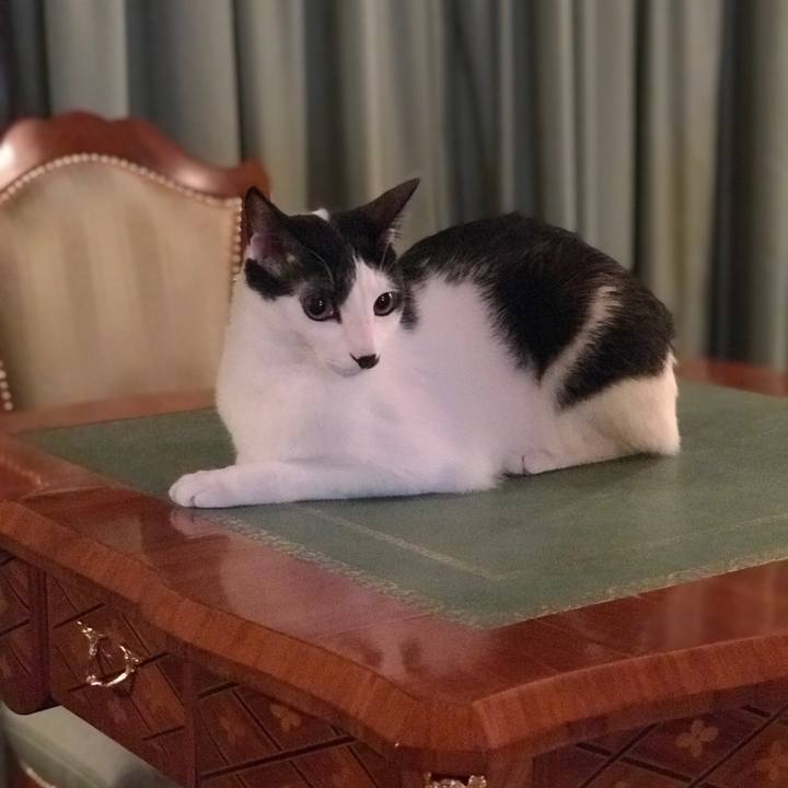 478fcc35 5c4d 4966 b063 63e82607de9d 1536944774540