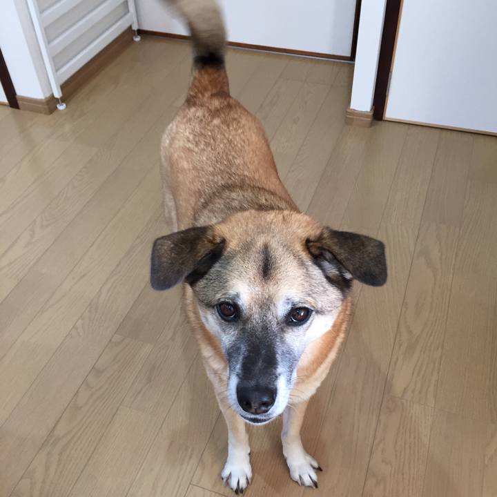 47900d6c 3582 4cb0 8a89 51590b8b880d 1511502857897