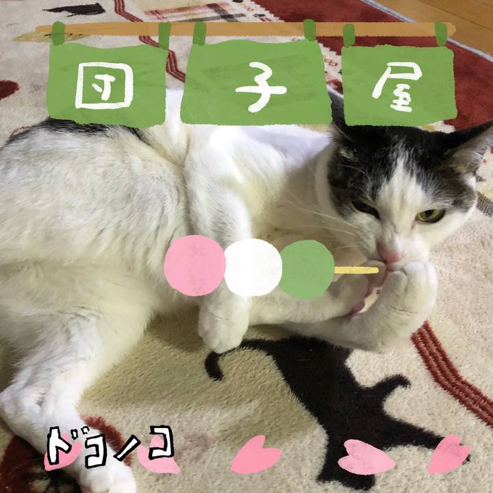 47904315 b86d 4089 94e6 5ddbb1adfeb5 1712664104888