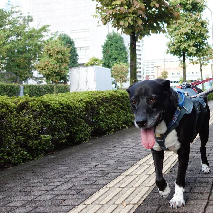 47904e64 f27c 4f11 93eb 0c26c5f77577 1725408044608