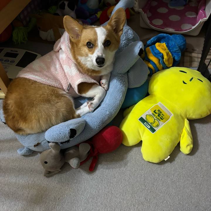 47905059 63fd 42fb bfe9 88d12a6380a9 1759334362446