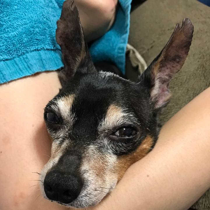 47905e6c 1e36 4d76 a04b 45e1ac8bee3f 1570846113152