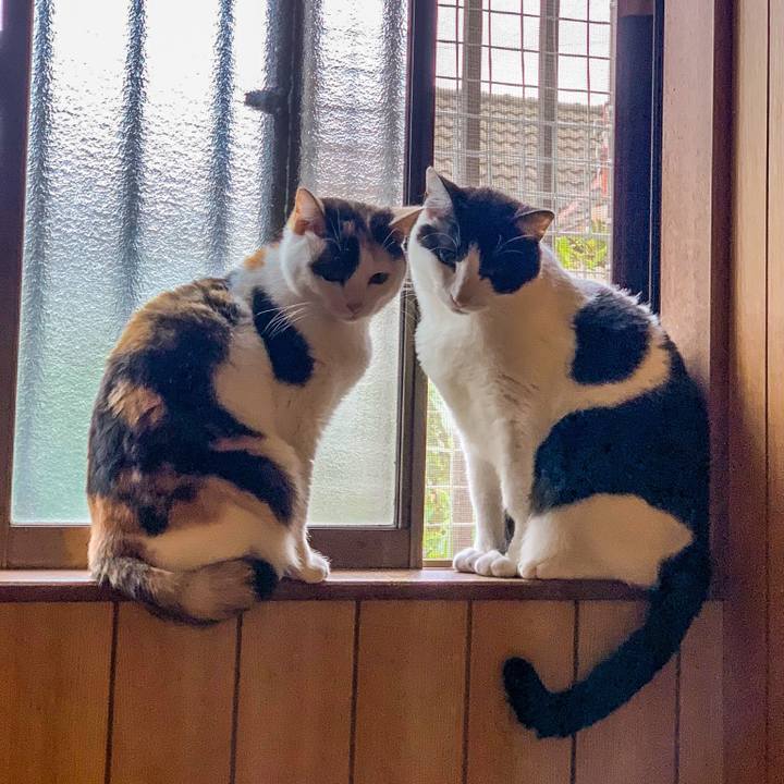 4790b2e7 346d 4de1 aa1d 3b0f128a31f7 1557626570644