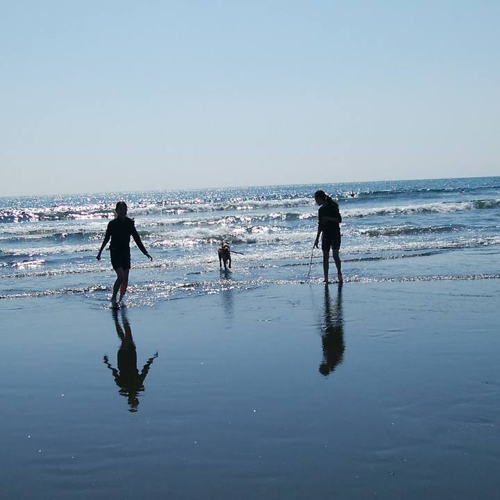 4790ca13 7468 46c5 b716 3df87539d278 1521969978958