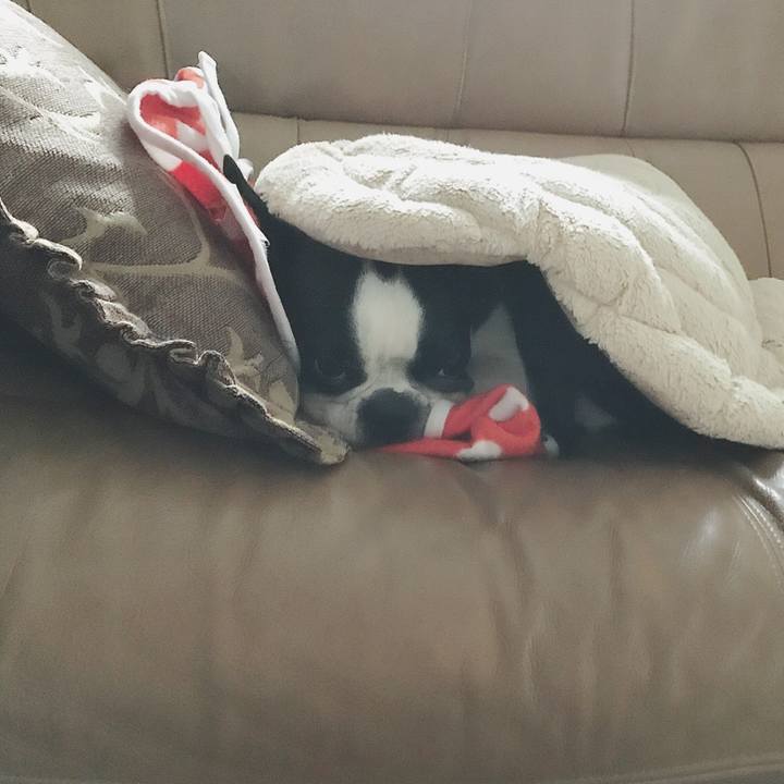 4790fb07 3597 4609 87fc f6743d2ee6da 1515478651399