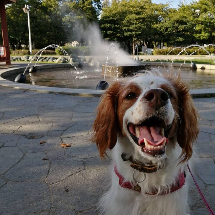 4790fe55 5cab 4d86 8566 8487a1544989 1600083815137