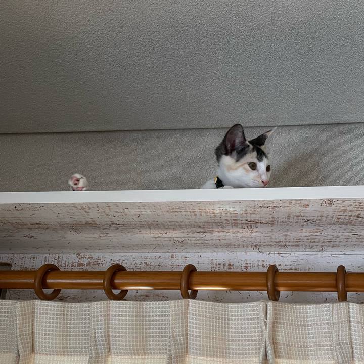 4791287e fbc3 4c7d 813c 596d63566b16 1659317281257