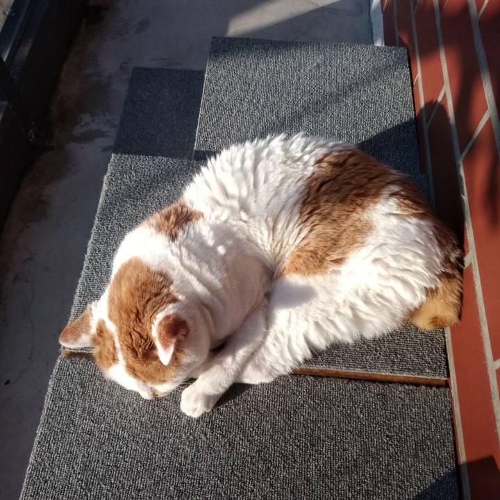 479147dc 1b4f 4077 a8c9 b5332eb74514 1555416066333