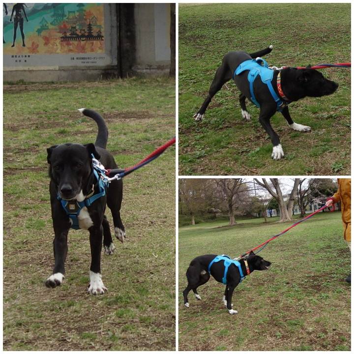 47917063 c540 4fdc 876d 203009b4a7b4 1616370452939