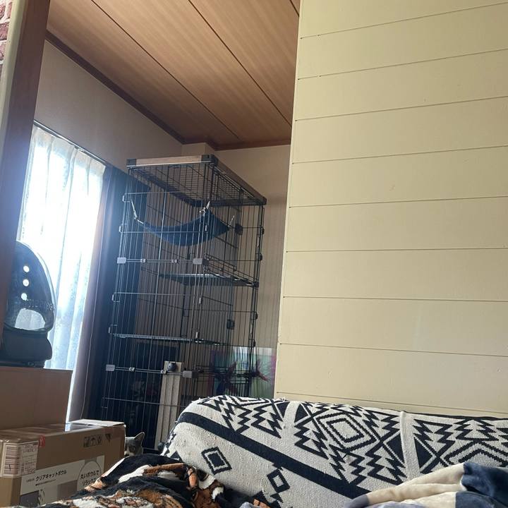 479170f3 3ecc 4331 8250 8c95be16ee09 1737786292392