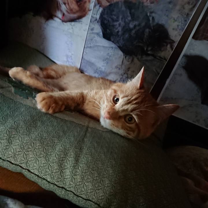 47917498 9e4e 448b a1e3 2d88fca55af5 1657141289888